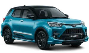 Turquoise Raize